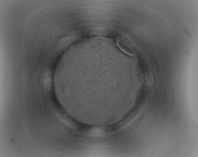 X0000114070080200910191530