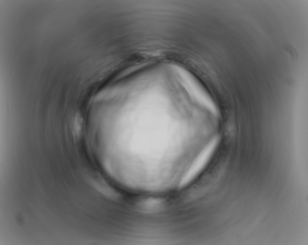 X0000114070081200910191531