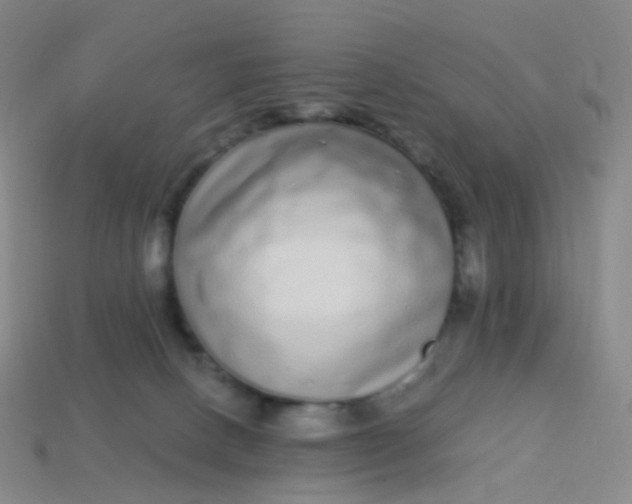 X0000114070082200910191531