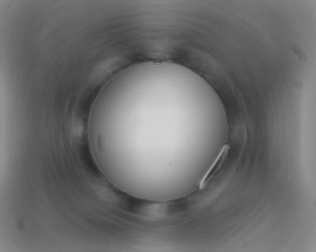 X0000114070084200910191531