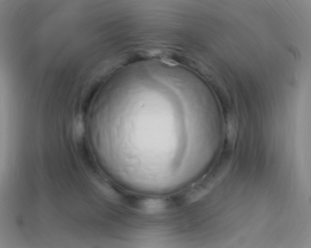 X0000114070085200910191531