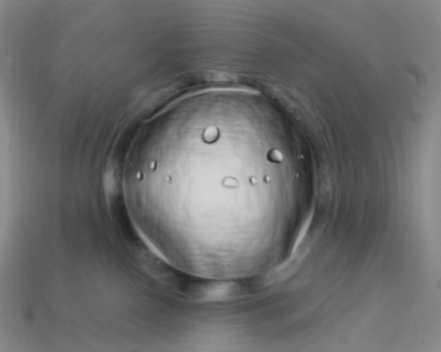 X0000114070090200910191531