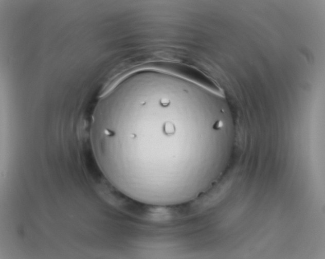 X0000114070091200910191531