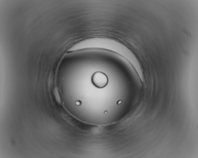 X0000114070092200910191531