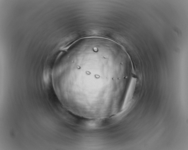 X0000114070094200910191531