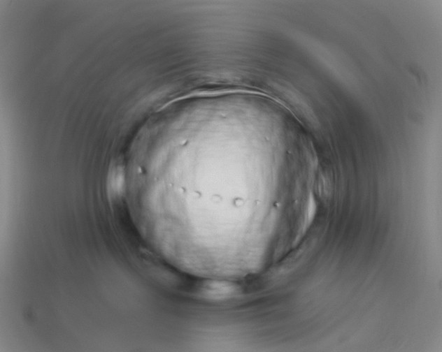 X0000114070095200910191531