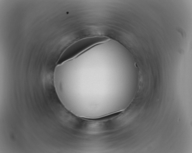 X0000114070096200910191531