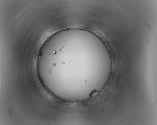 X0000114070098200910191530