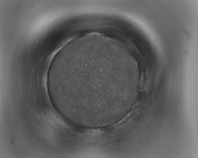 X0000114070099200910191530