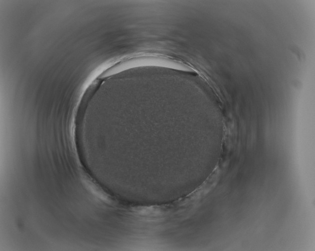 X0000114070100200910191530