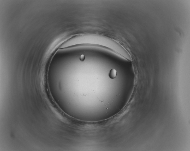 X0000114070101200910191530