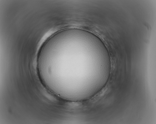 X0000114070102200910191530