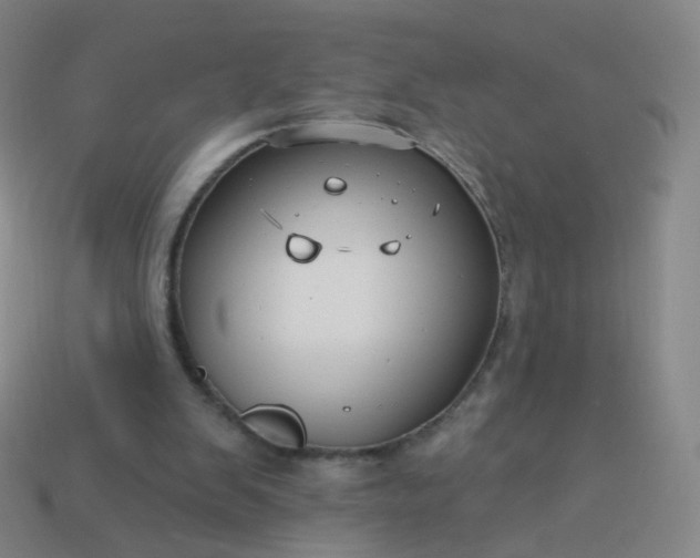 X0000114070103200910191530