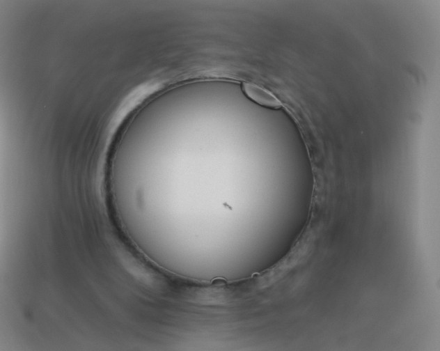 X0000114070104200910191530