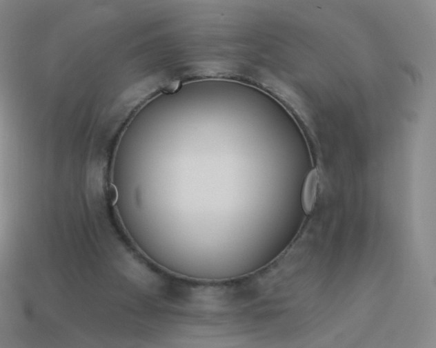 X0000114070105200910191530