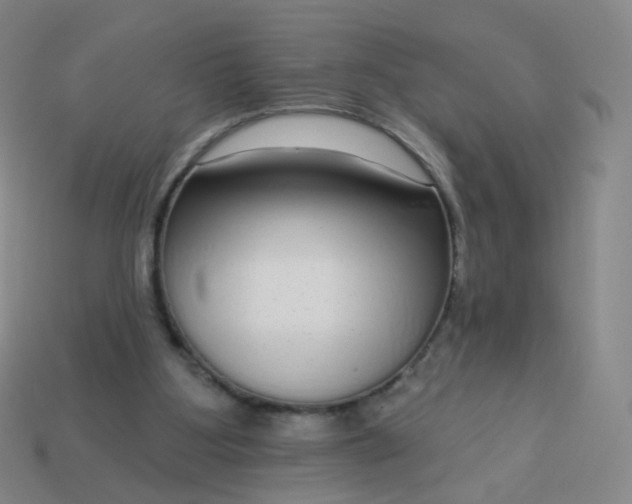 X0000114070107200910191530