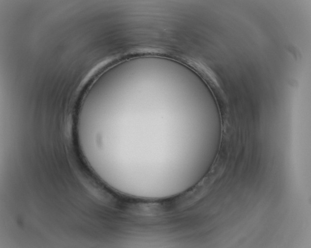 X0000114070108200910191530