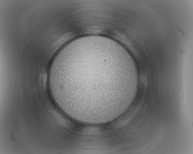 X0000114070110200910191530