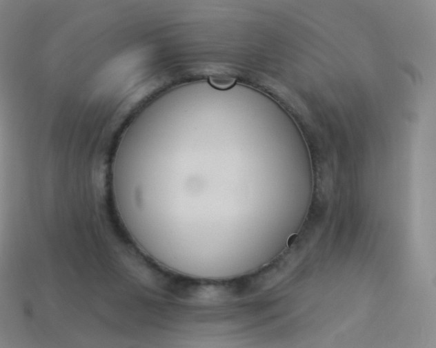 X0000114070111200910191530