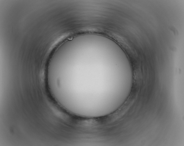 X0000114070112200910191530