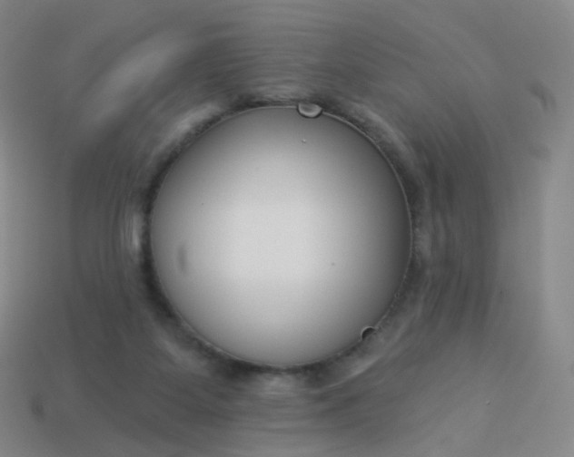 X0000114070115200910191530