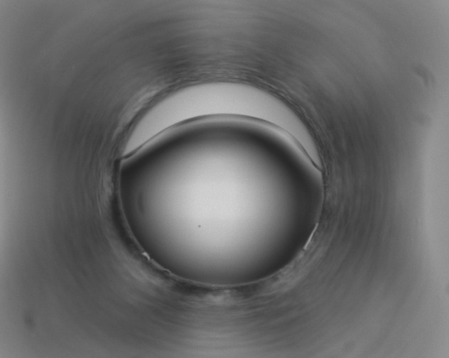 X0000114070116200910191530