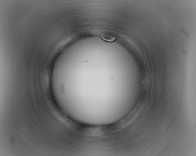 X0000114070120200910191530