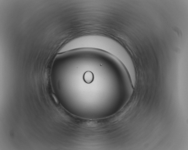 X0000114070121200910191530