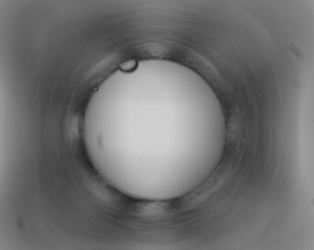 X0000114070122200910191530