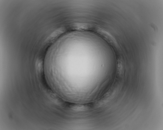 X0000114070123200910191530