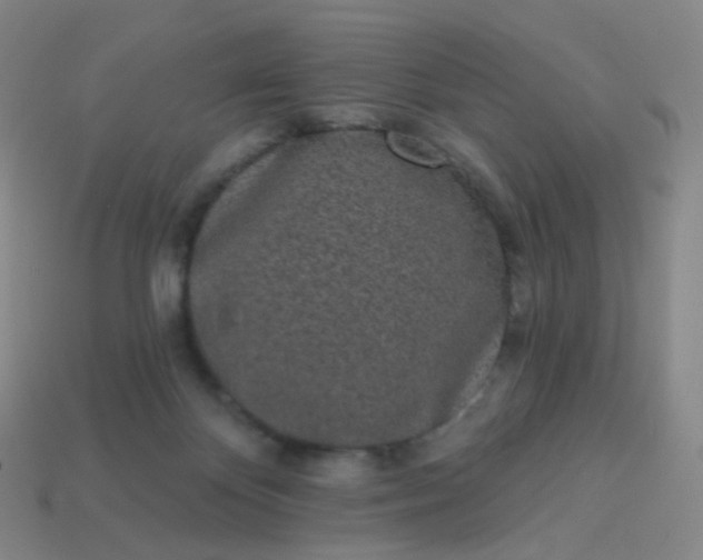 X0000114070124200910191530