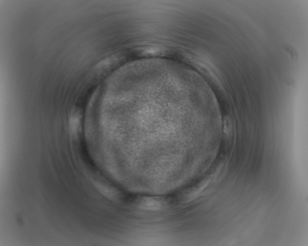 X0000114070127200910191530