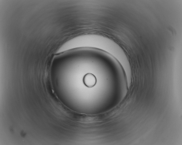 X0000114070129200910191530