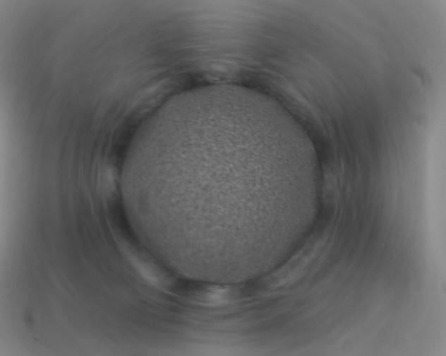 X0000114070130200910191530