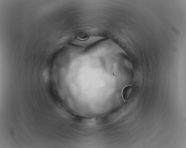 X0000114070131200910191530