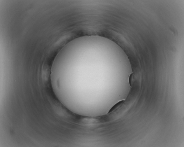 X0000114070133200910191530