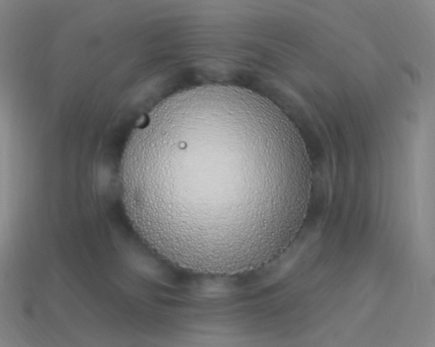 X0000114070134200910191530