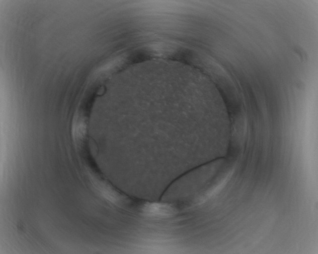 X0000114070137200910191530