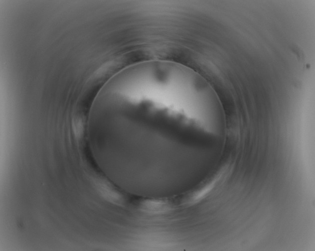 X0000114070139200910191530