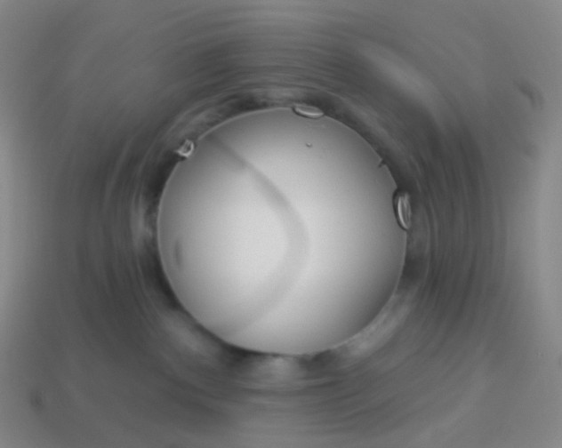 X0000114070140200910191530