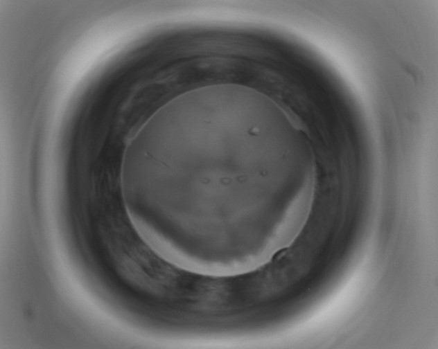 X0000114070143200910191529