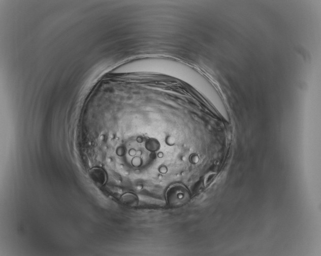 X0000114070145200910191529