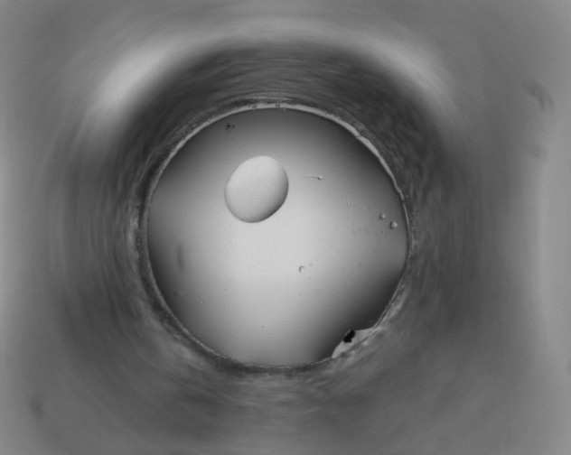 X0000114070146200910191529