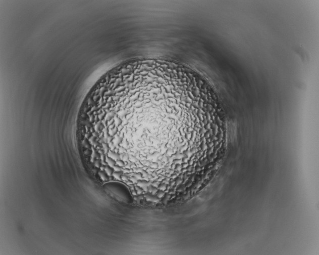 X0000114070147200910191529