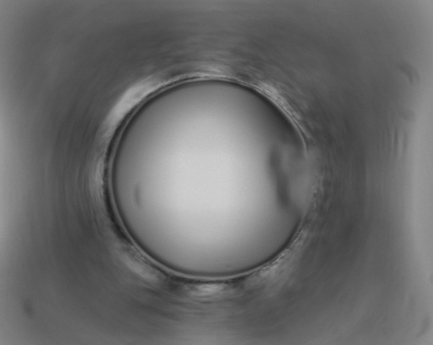 X0000114070151200910191529