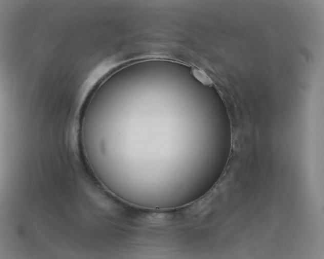 X0000114070152200910191529