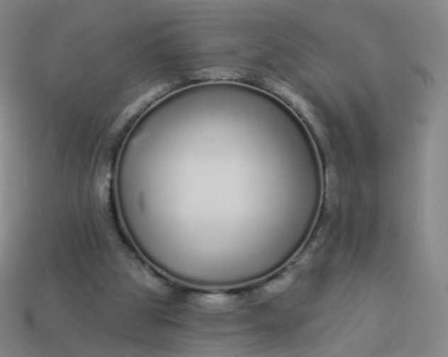 X0000114070153200910191529