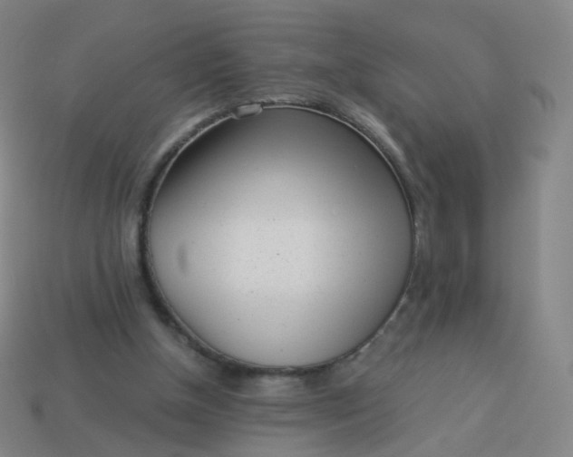 X0000114070154200910191529