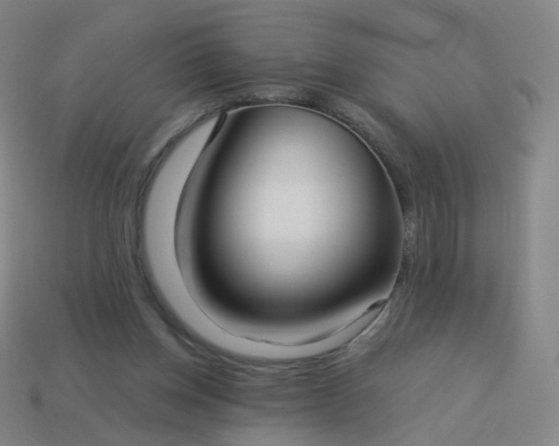 X0000114070158200910191529