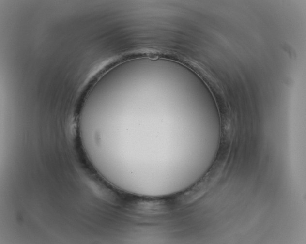 X0000114070160200910191529